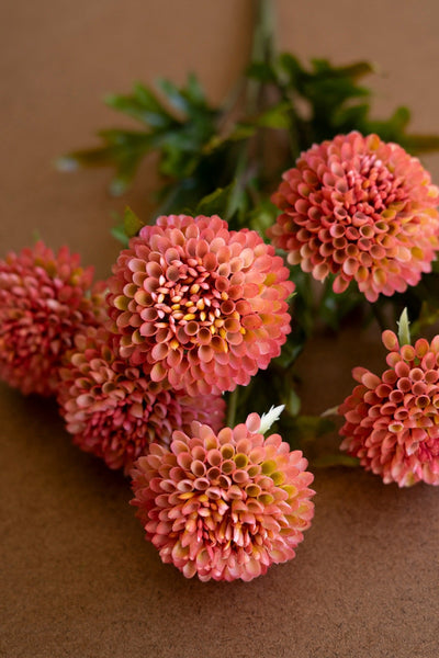 Faux Blush Ball Dahlias - bundle of 7