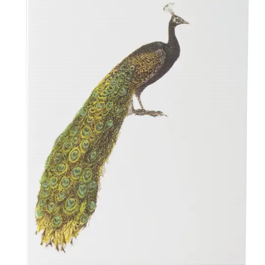 Peacock Greeting Card