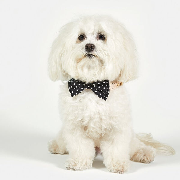 Pet Bow Tie - Black Buffalo Check
