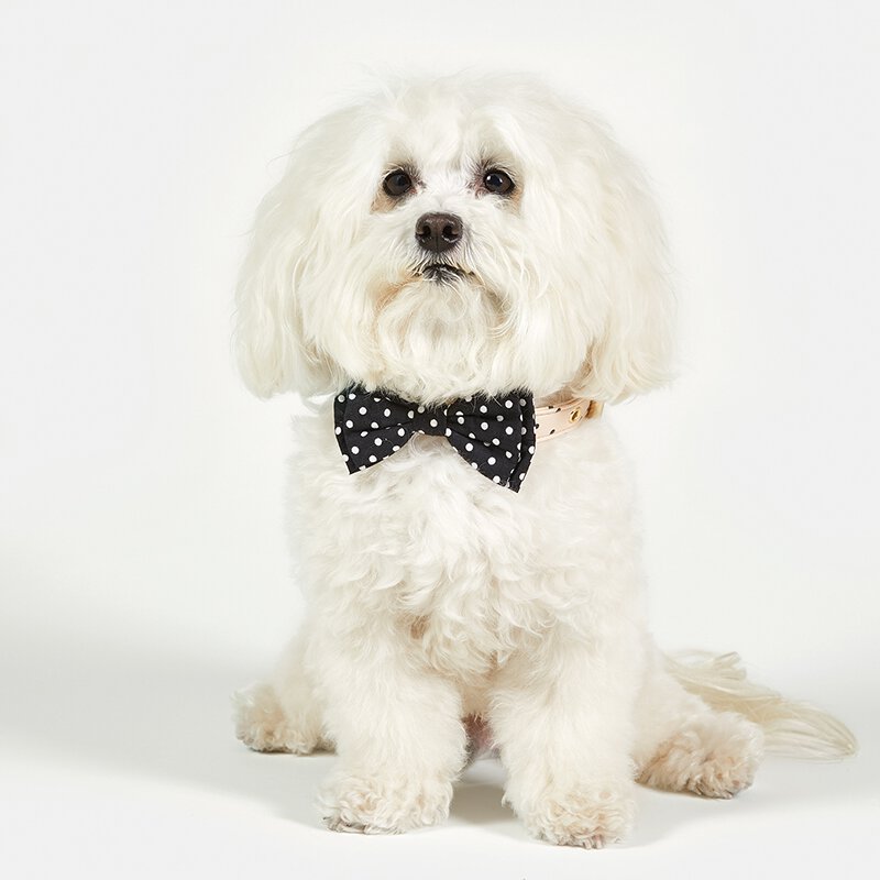 Pet Bow Tie - Red Buffalo Check