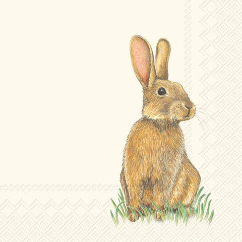 Paper Cocktail Napkins - Bunny