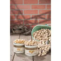 Classic Salted Peanuts - 9 oz